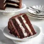 Chocolate Coconut Cake Recipe