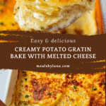 Creamy Potato Gratin Recipe