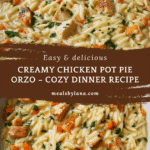 Creamy Chicken Pot Pie Orzo Recipe