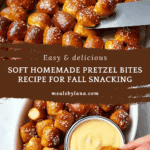 Pretzel Bites Recipe