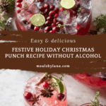Christmas Punch No Alcohol Recipe