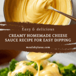 Homemade Cheese Sauce Recipe