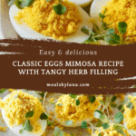 Eggs Mimosa Recipe