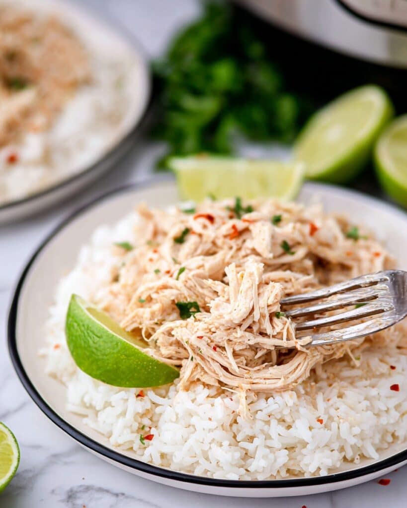 Instant Pot Shredded Chicken Recipe